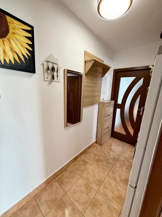 Apartament-Lugoj-de-vanzare-micro-2-02-1