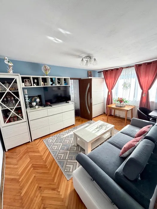 Apartament-Lugoj-de-vanzare-micro-2-05-1
