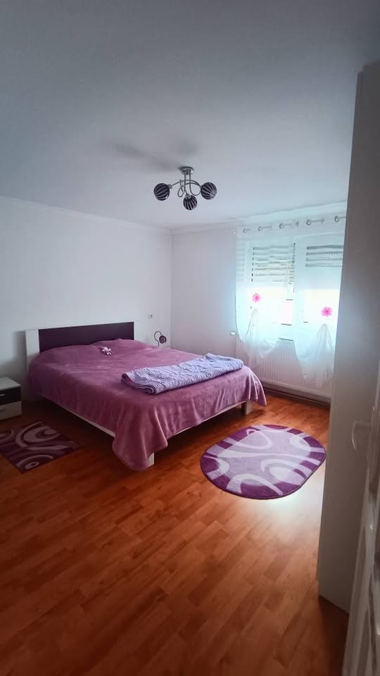 Casa-de-vanzare-Gavojdia-05